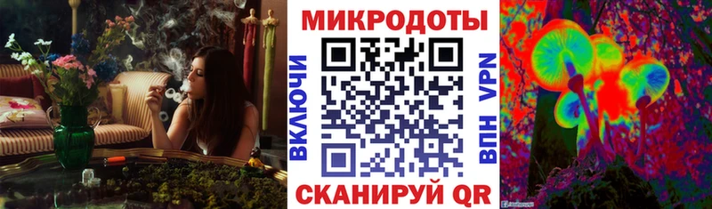 Псилоцибиновые грибы Psilocybine cubensis Пыталово